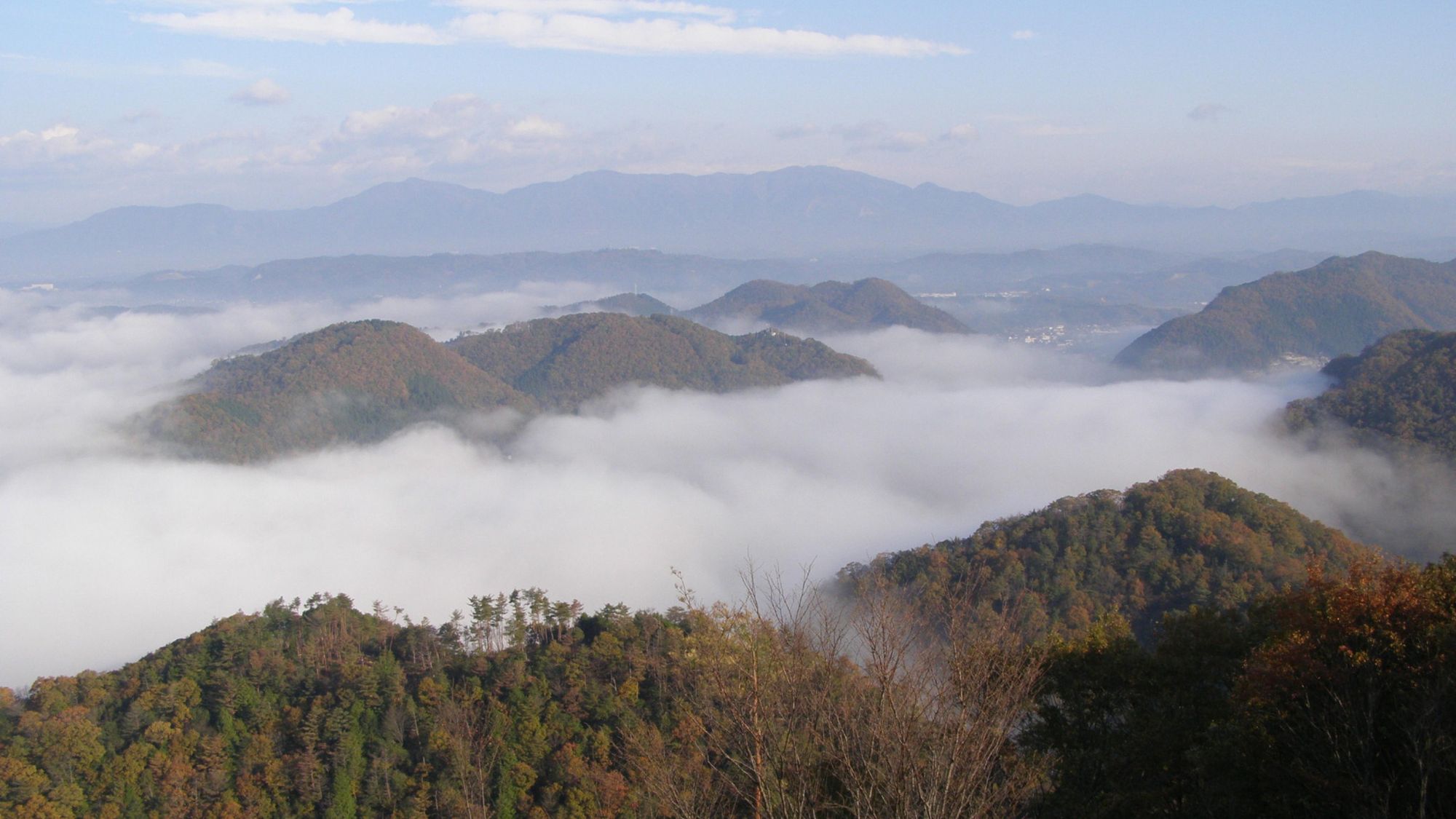 竹亭より車10分「大山展望台の雲海」