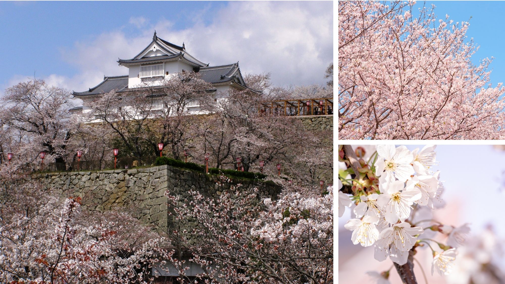 竹亭より車20分「鶴山公園」
