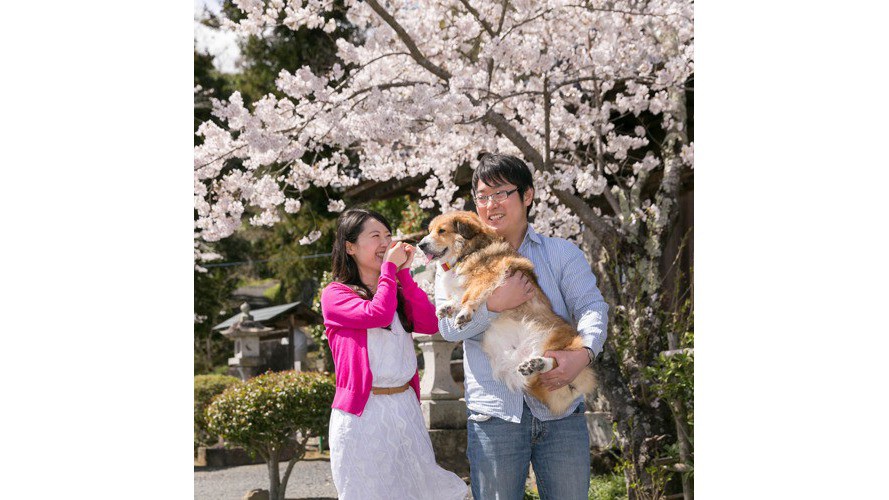 【わんこ家竹亭】お隣の『湯神社』の桜が満開♪
