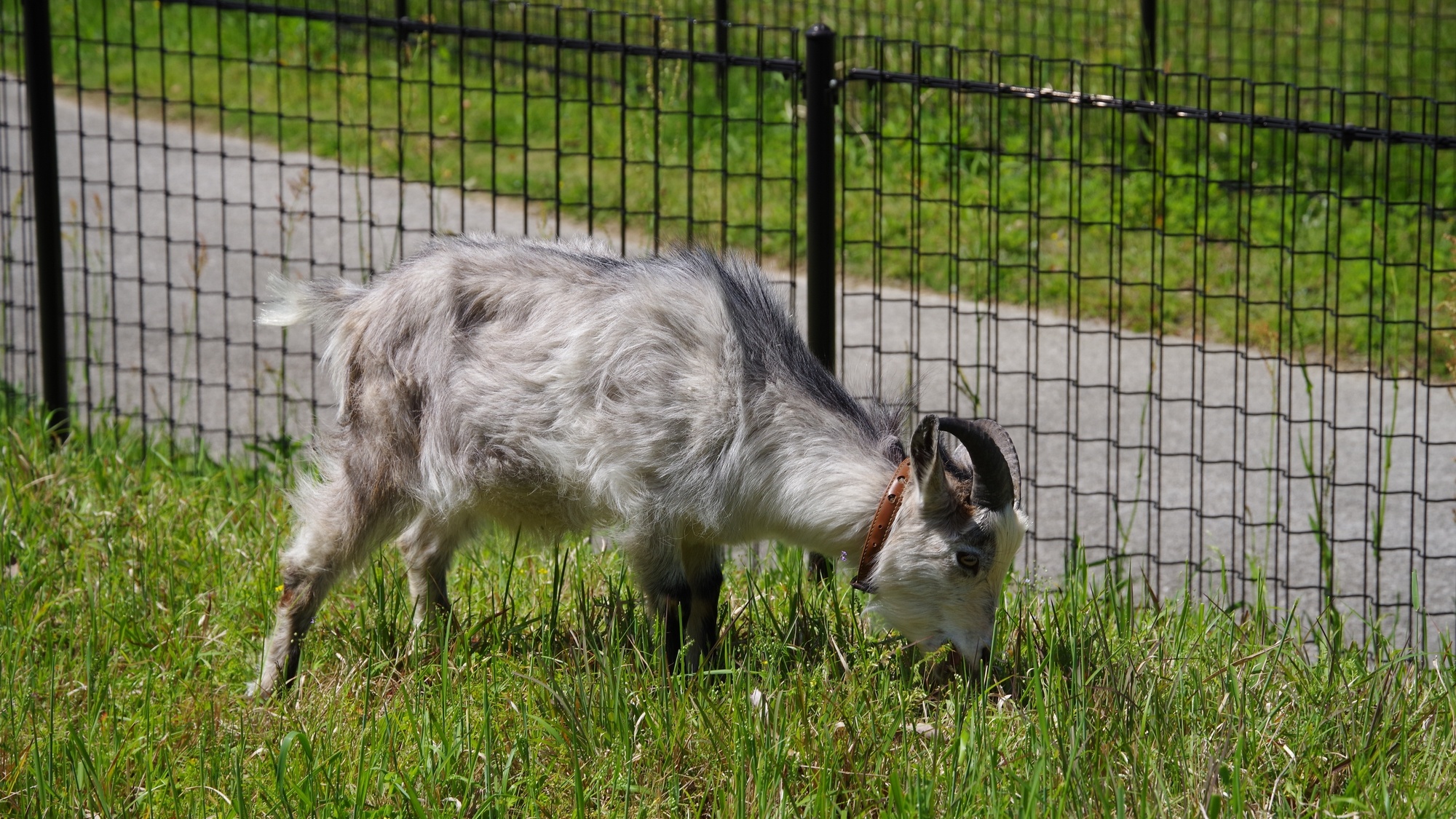 【当館から車で約15分】小動物園や大型遊具がある四日市市最大規模の総合公園「南部丘陵公園」