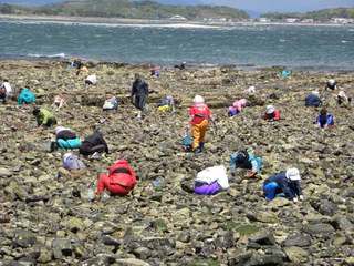 潮干狩り