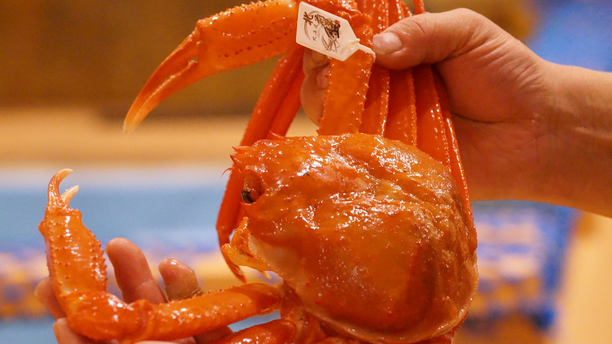 【蟹三昧の特別会席】タグ付き北前蟹を贅沢に！料理長特製オリジナルコース／1泊2食