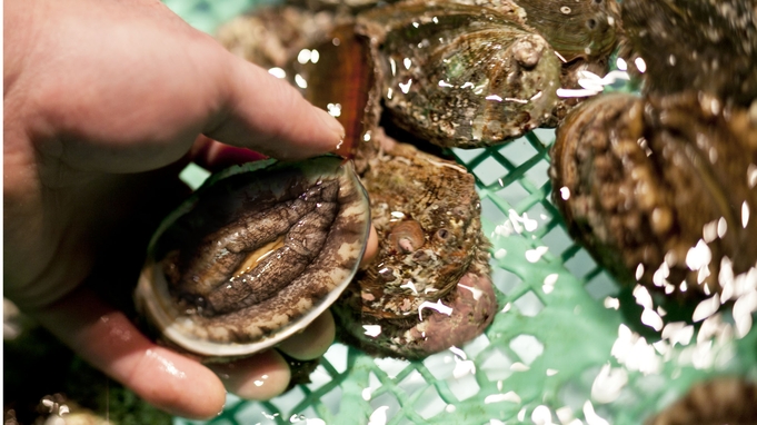 【夕食追加料理】北海道産の蝦夷アワビは当日水槽から出して調理します（3日前迄要予約／1人前1650円