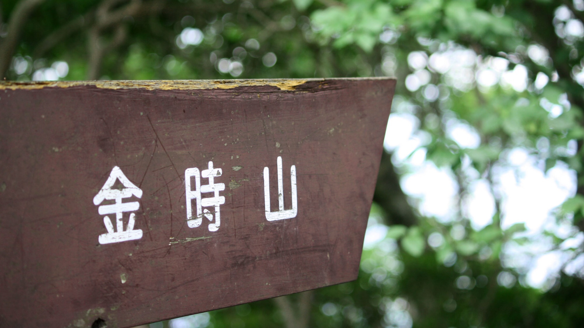 金時山登山口まで徒歩5分♪登山プラン