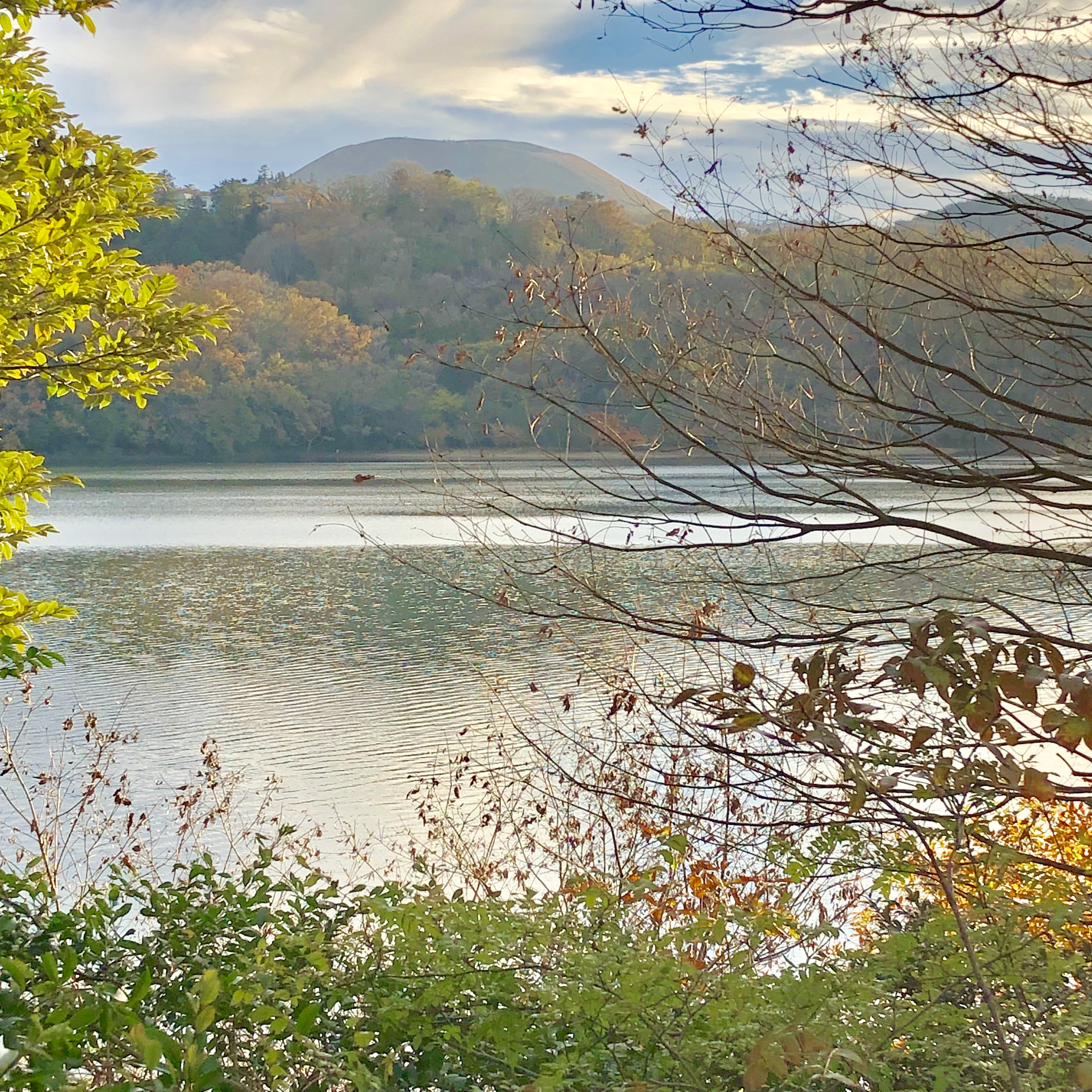ペンションいっぺき湖 宿泊予約 楽天トラベル ペンションいっぺき湖 宿泊予約 楽天トラベル