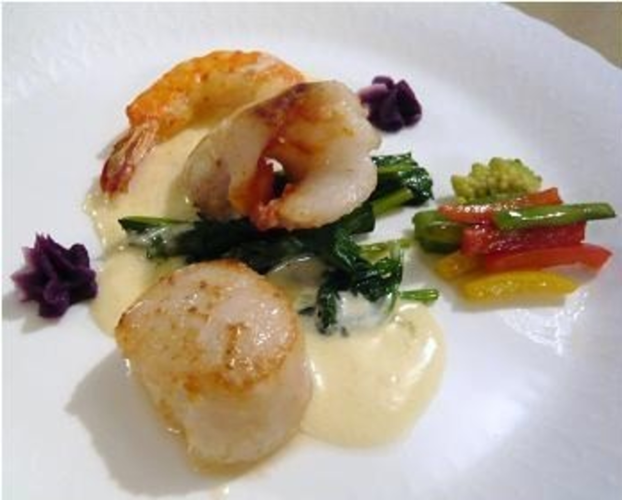 シーフォレスト 石垣島 宿泊予約 楽天トラベル シーフォレスト 石垣島 宿泊予約 楽天トラベル