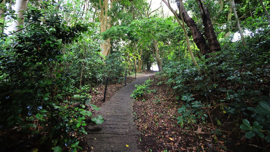 夢遊華敷地内庭園、森の小径。