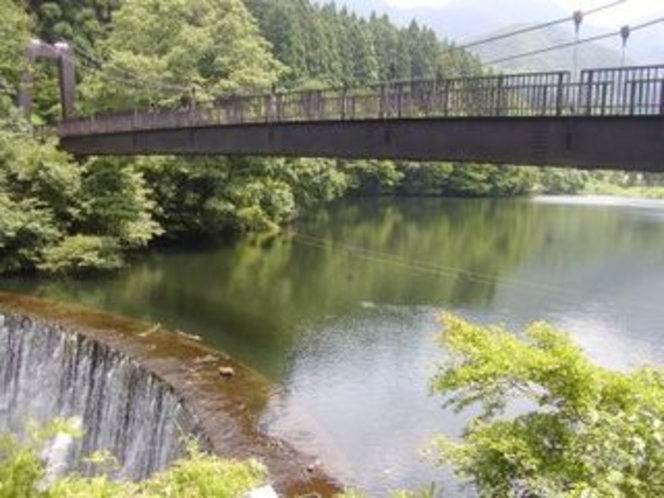 大源太湖のつり橋