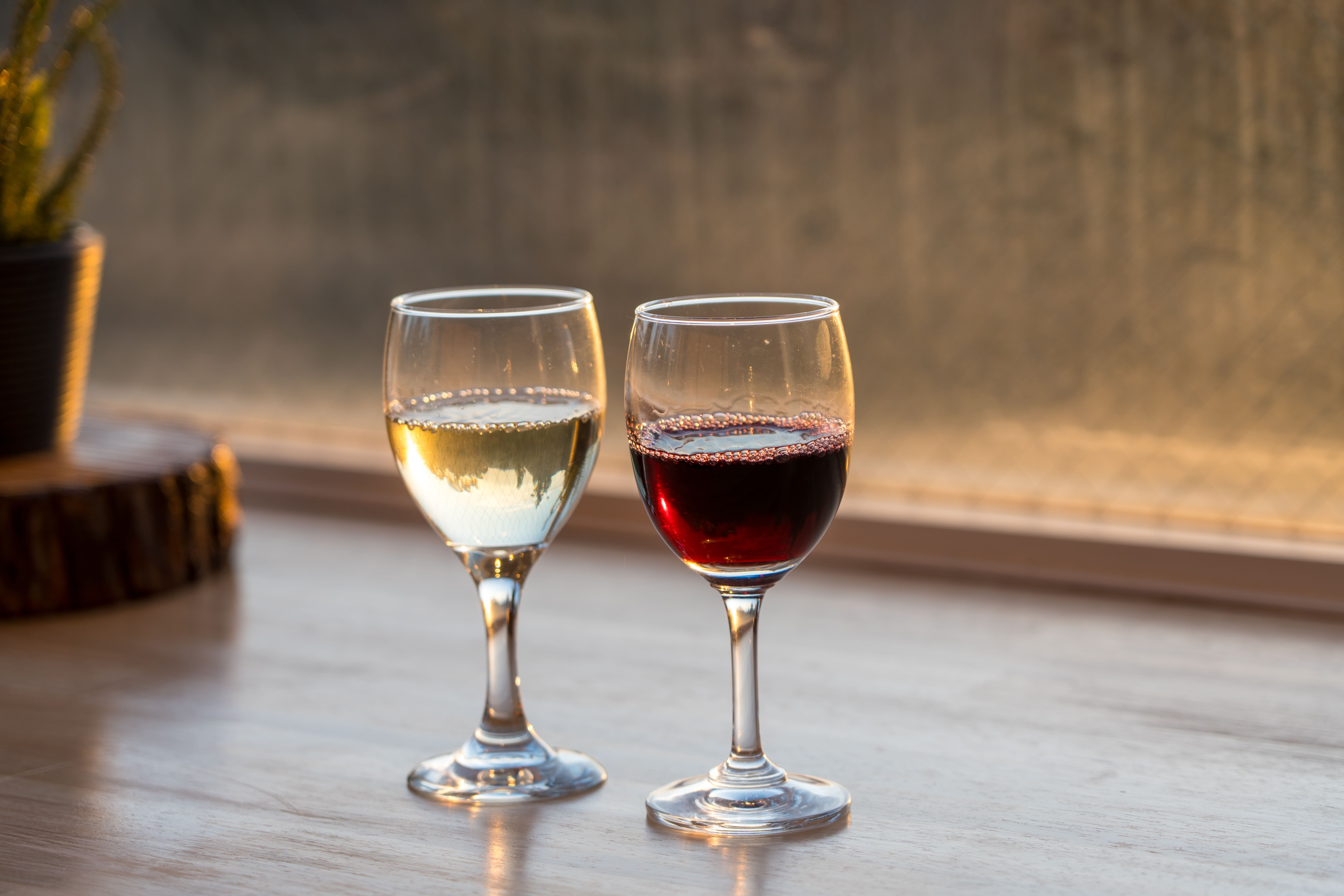 夕暮れ色のこもれびラウンジ