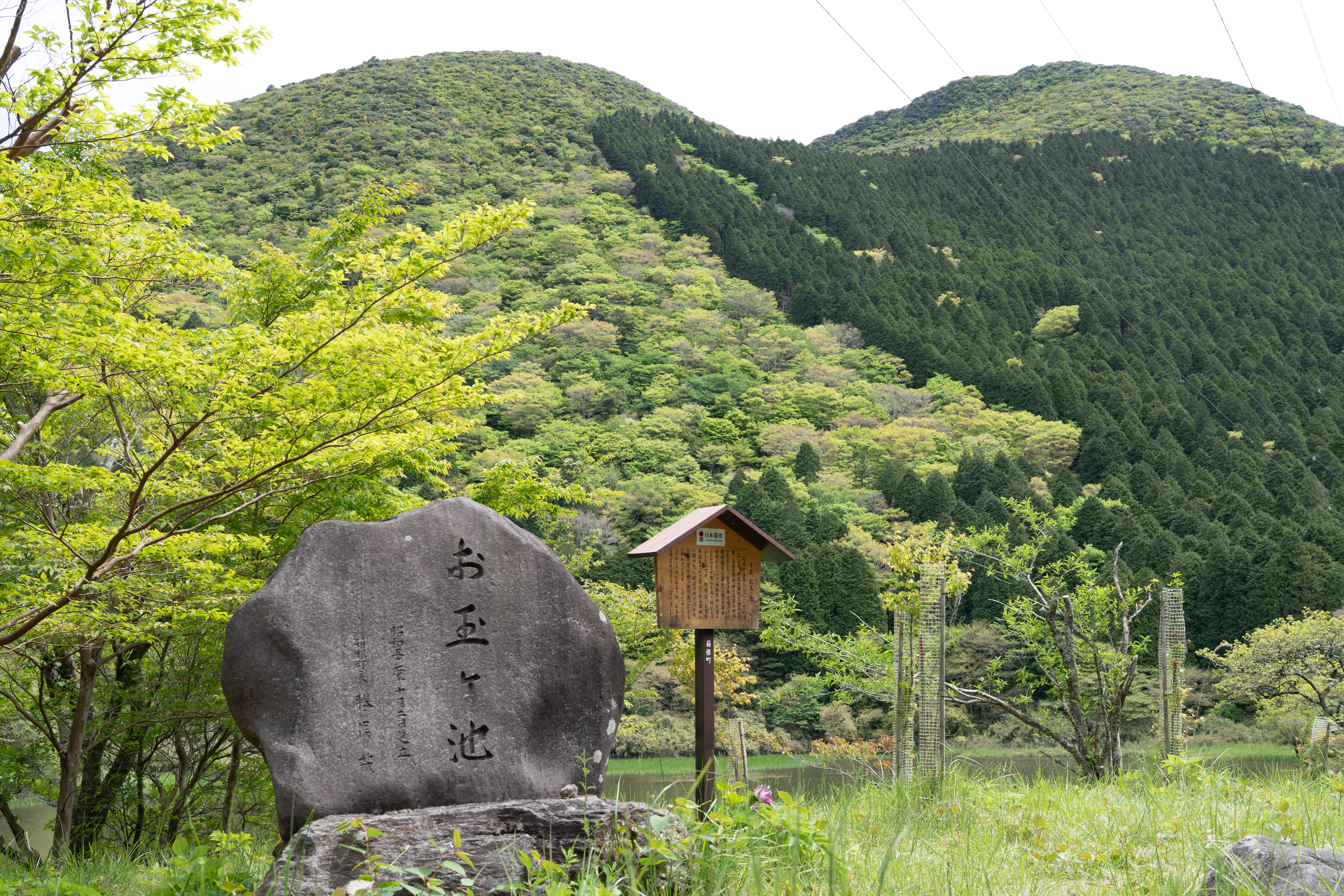 お玉ヶ池