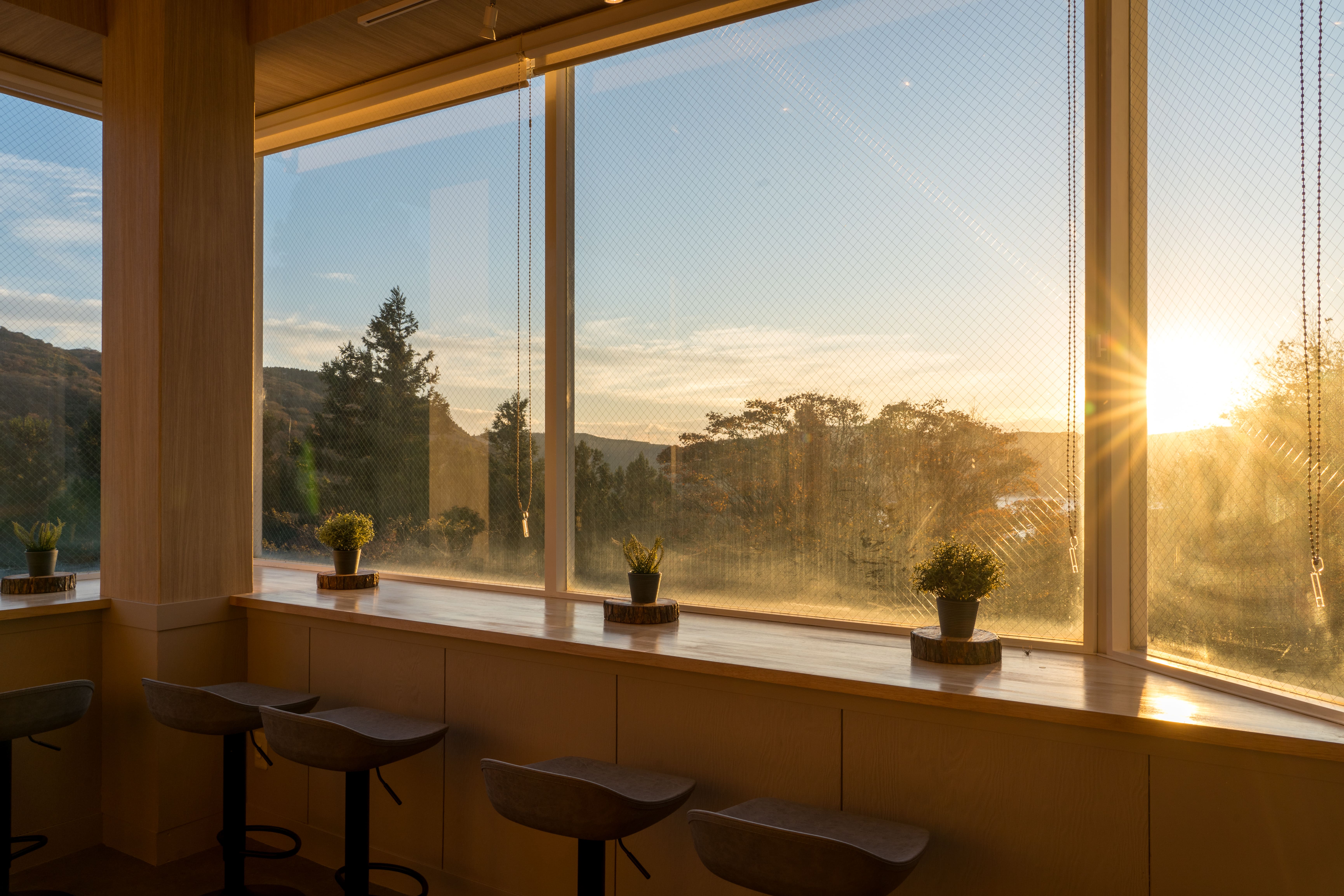 夕暮れ色のこもれびラウンジ