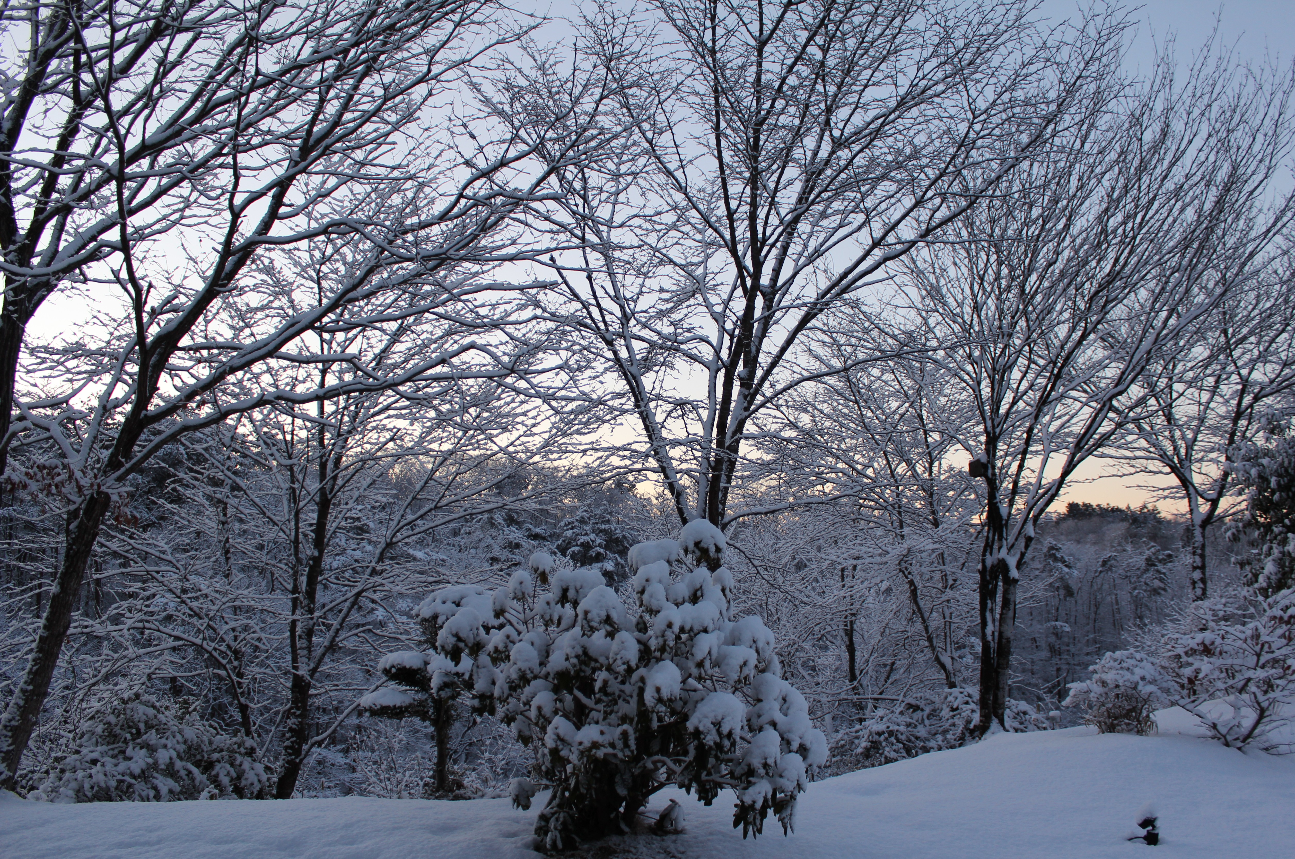 レストランから見える景色（冬）