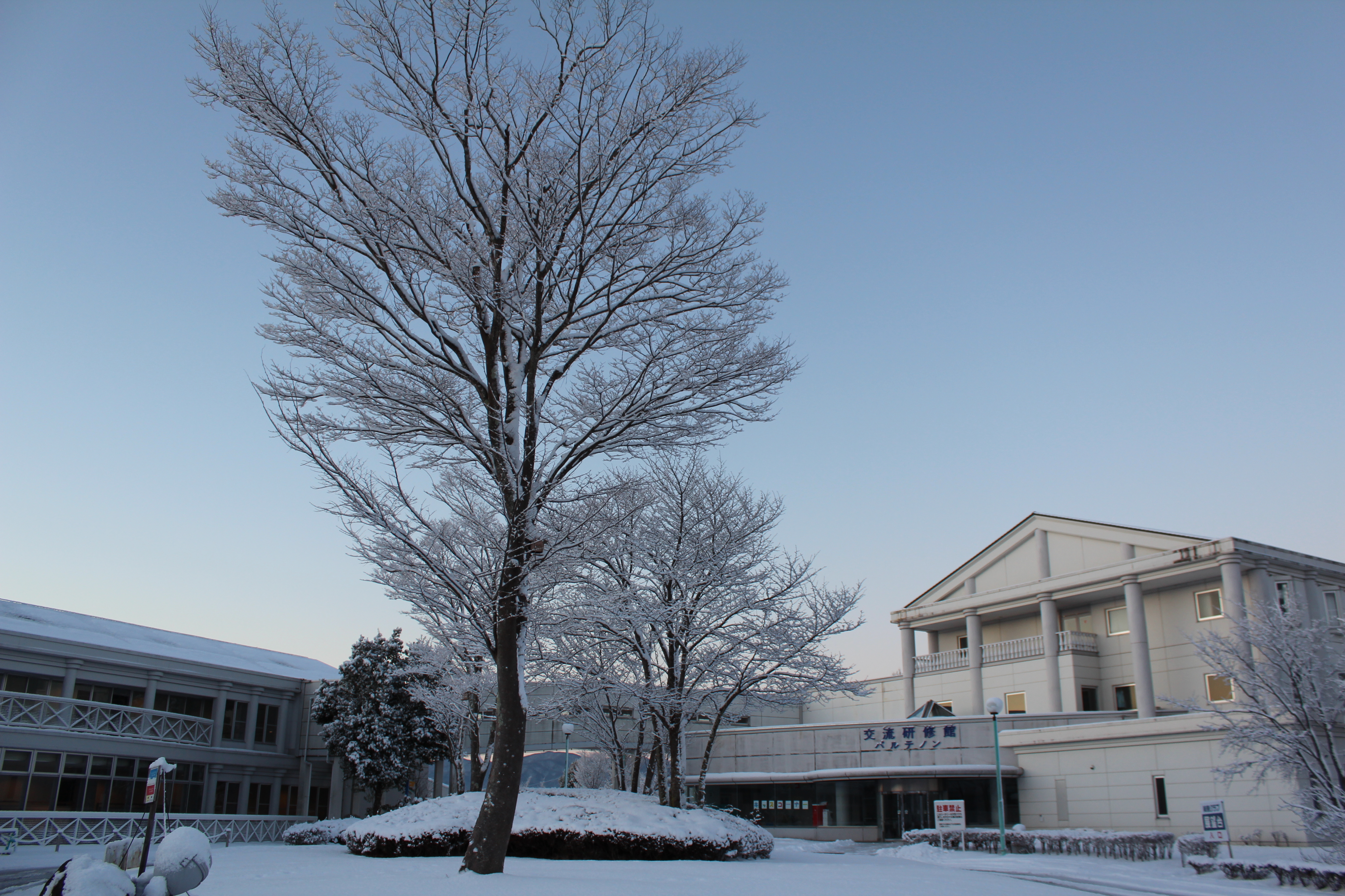 ロータリー（冬）