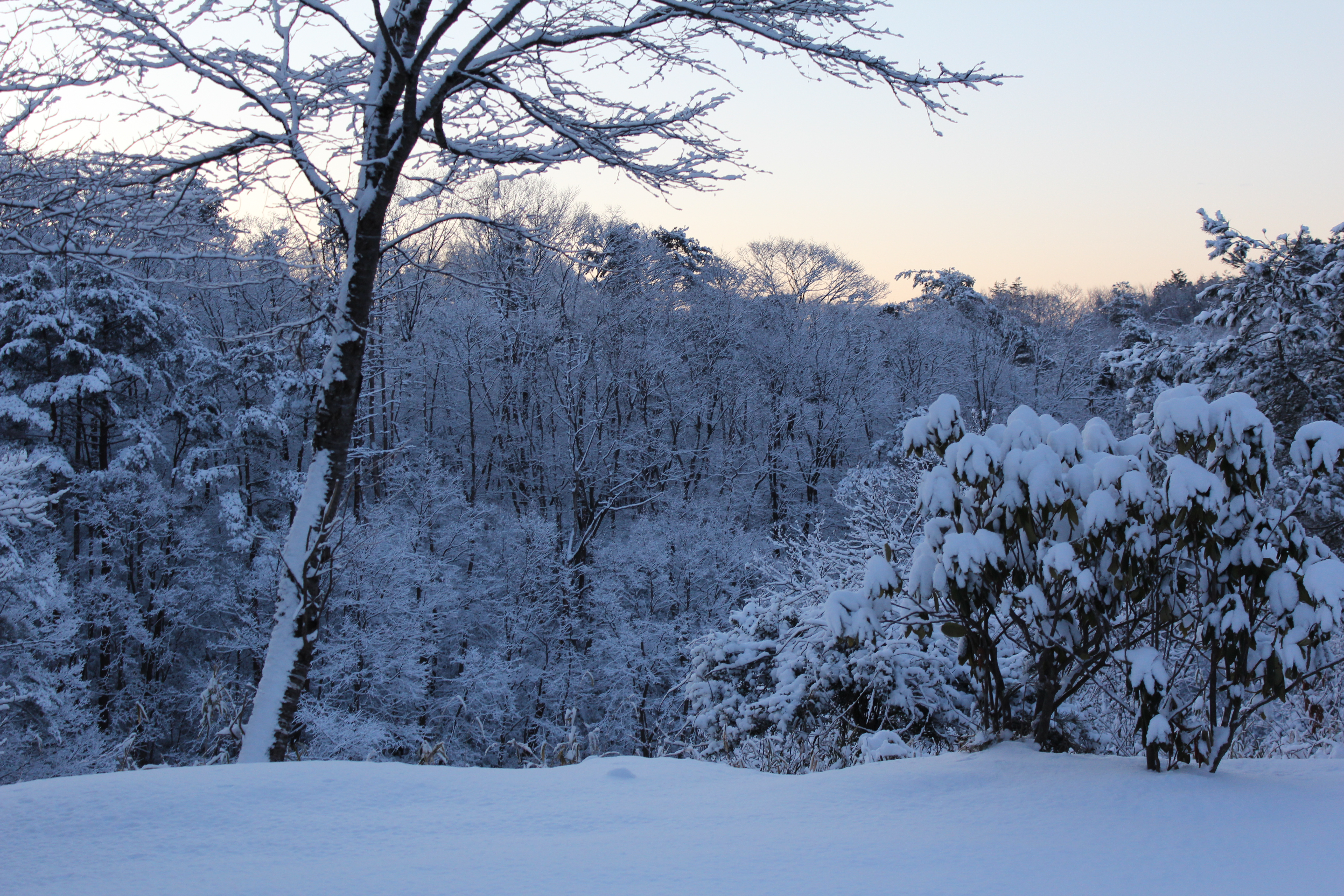 レストランから見える景色（冬）