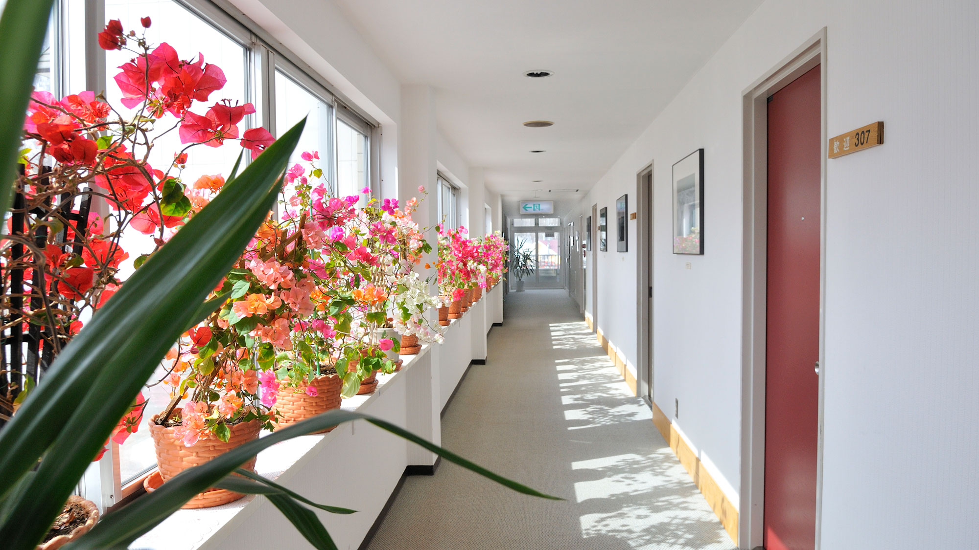 洞爺湖温泉 北海ホテル 宿泊予約 楽天トラベル 洞爺湖温泉 北海ホテル 宿泊予約 楽天トラベル