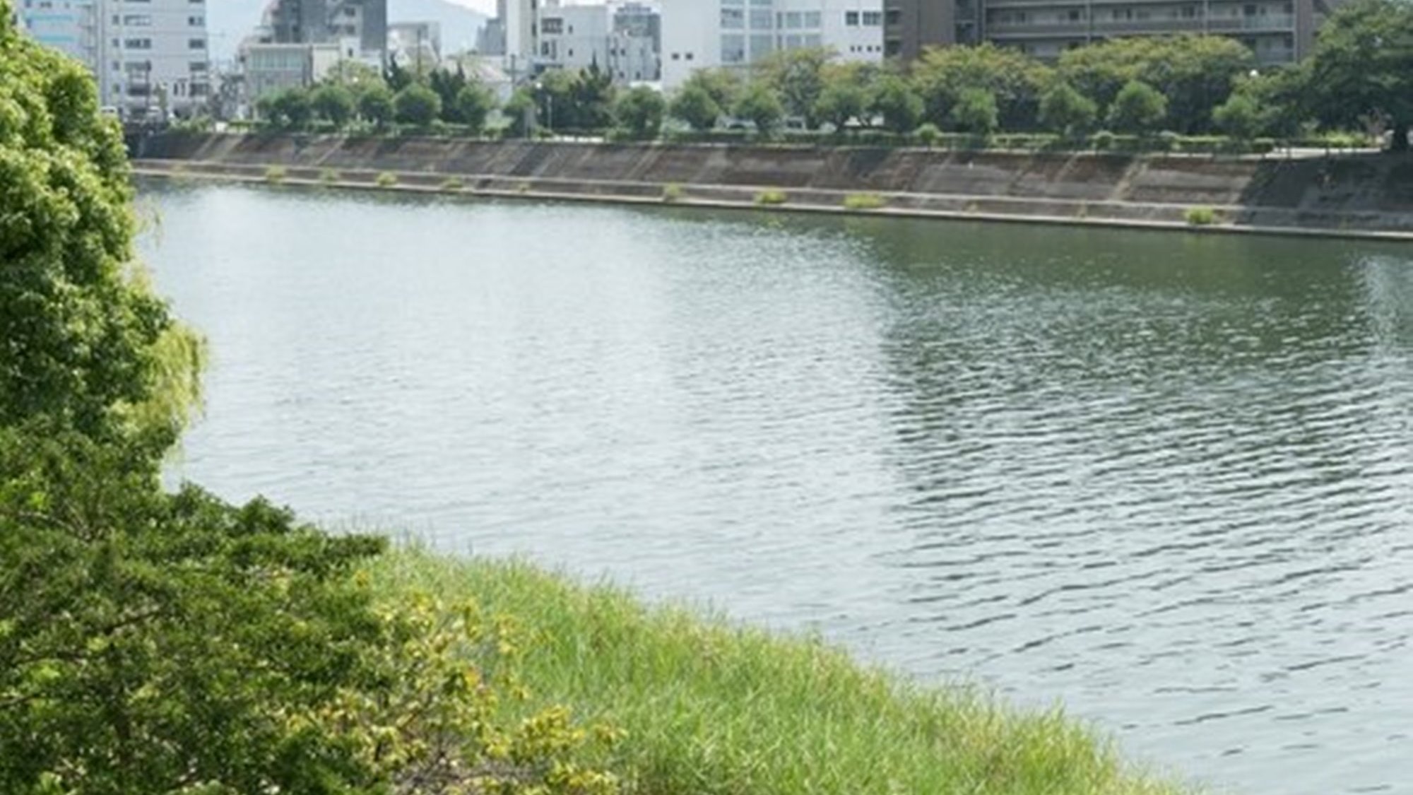 ＜お部屋＞川側｜和室/坂本竜馬が泳いだ「鏡川」が望めます
