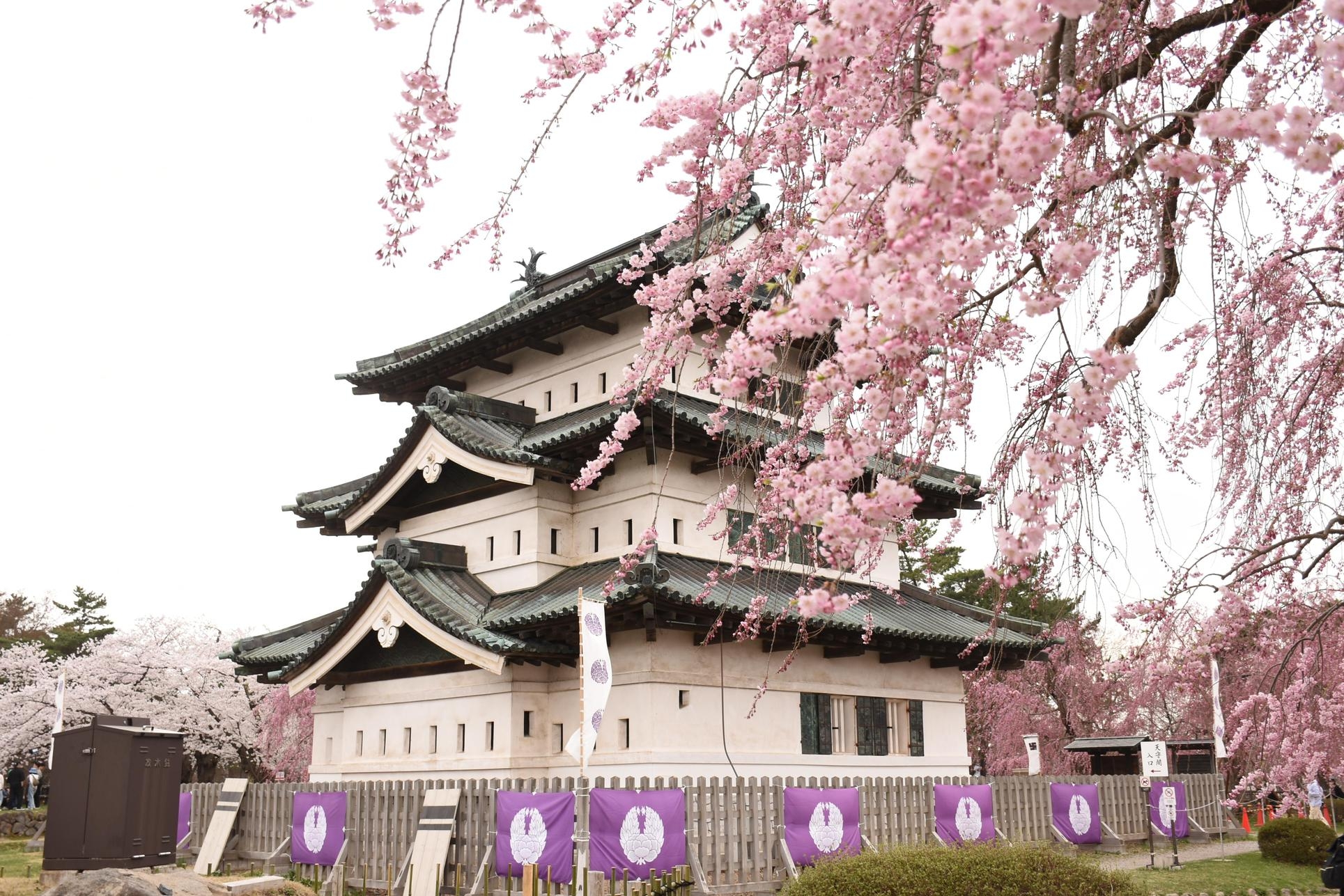 【カード決済限定】弘前さくらまつりプラン【素泊り】※7日前よりご返金不可【駐車料金無料】