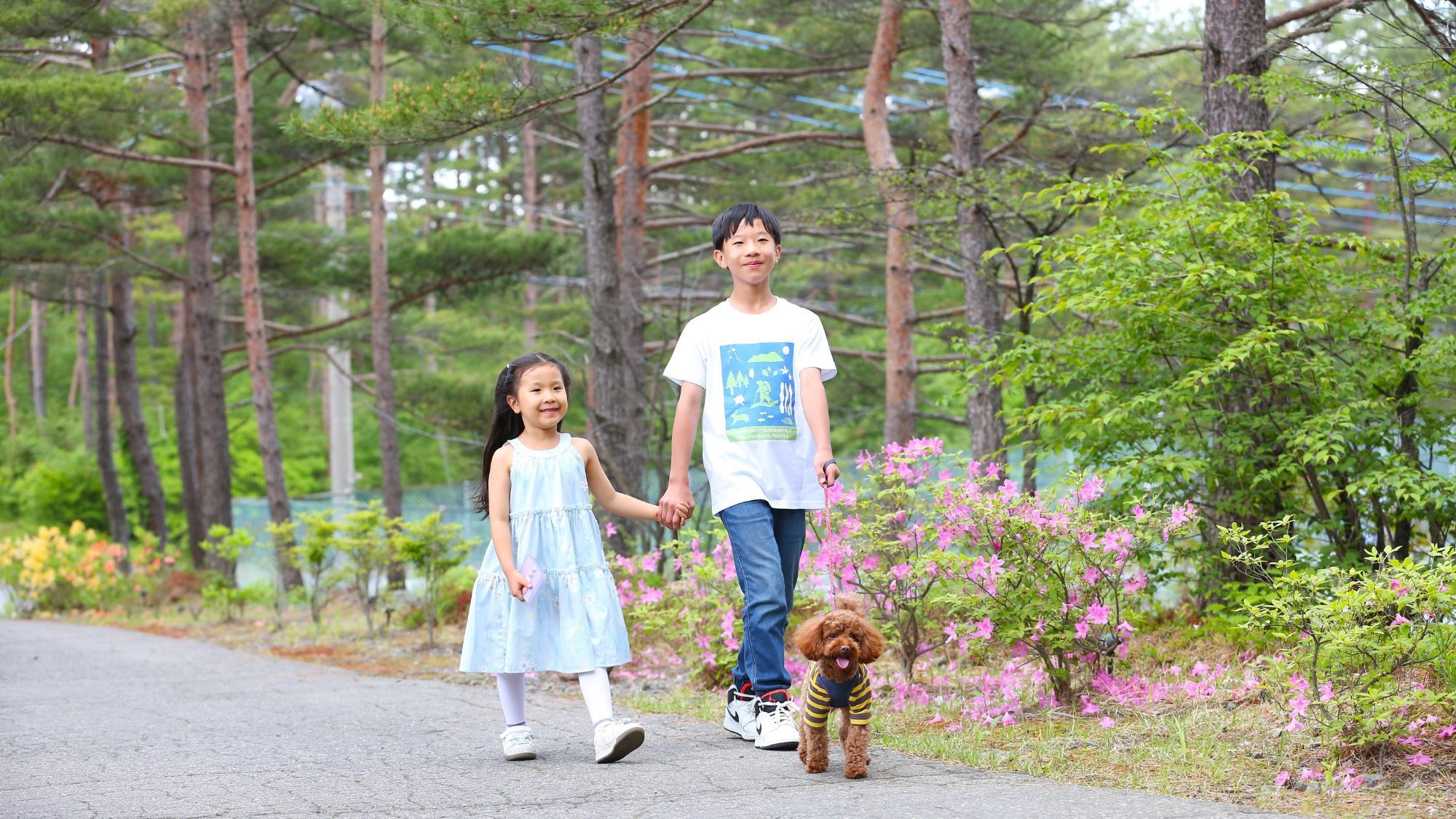 【ペット可／中型犬OK】ワンちゃんと一緒にコテージ宿泊！お食事なしの素泊まりプラン
