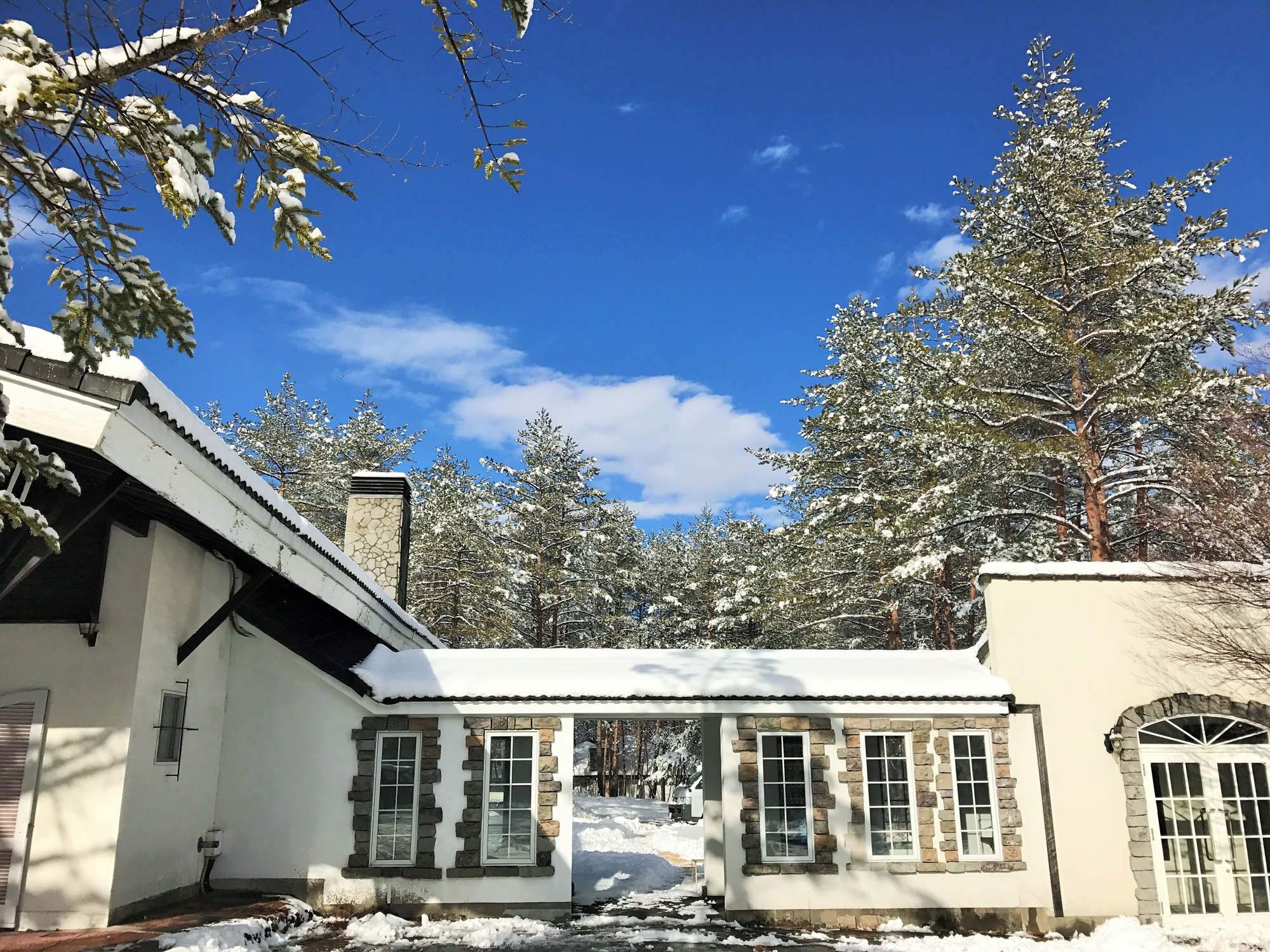 ビジネスホテル水仙 楽天トラベル ビジネスホテル水仙 楽天トラベル