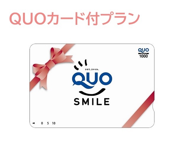 ＱＵＯカード1，000円券付シングルステイ