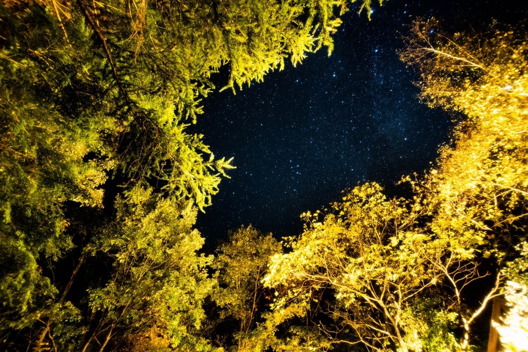 全山紅葉！満天の星！何もしない休日！北軽井沢の秋を独り占め休日プラン！