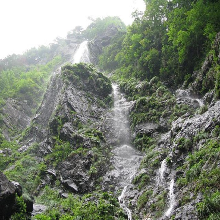 【清滝】落差約60メートルを誇り「えひめ自然百選」のひとつにもなっています。 