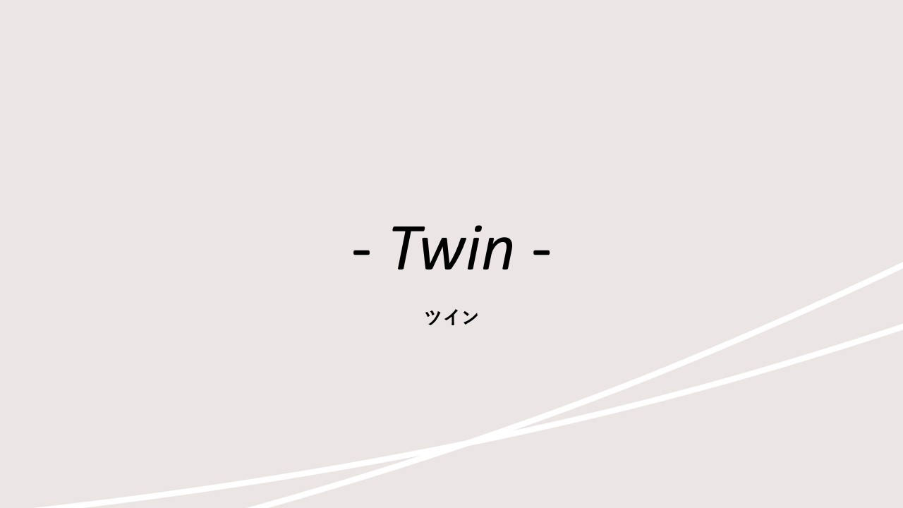 客室紹介(ツイン)