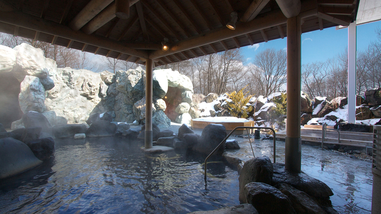（12/20〜3/29）バイキングプラン◆おもちゃ王国冬期休園中※1/23〜3/29は大浴場利用不可