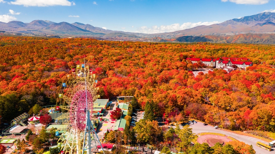 紅葉に染まる北軽井沢。例年の見頃は10月中旬～下旬。軽井沢おもちゃ王国の観覧車から見る景色もオススメ