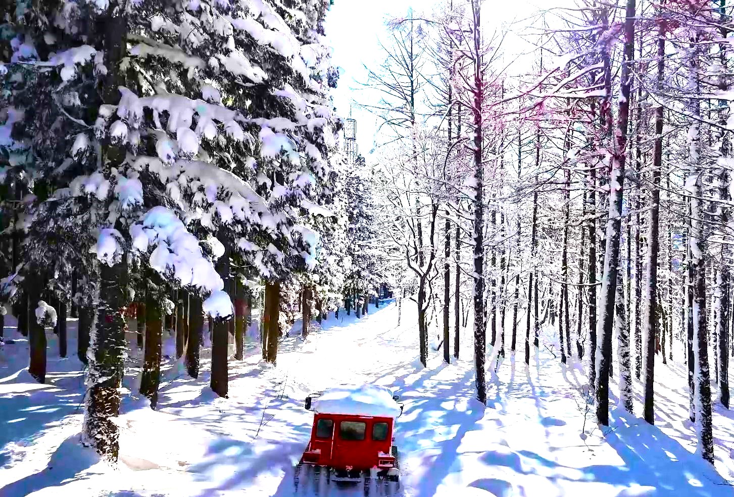 雪遊びパーク　雪上車アドベンチャーライド