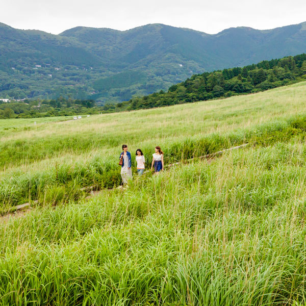 Hotel photo 45 of Hotel Green Plaza Hakone.