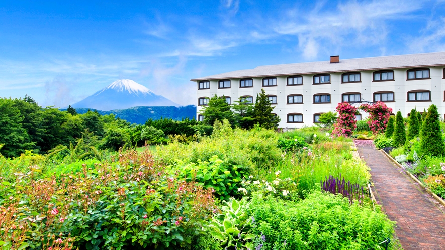 自然溢れるガーデンテラスからは富士山も楽しめます
