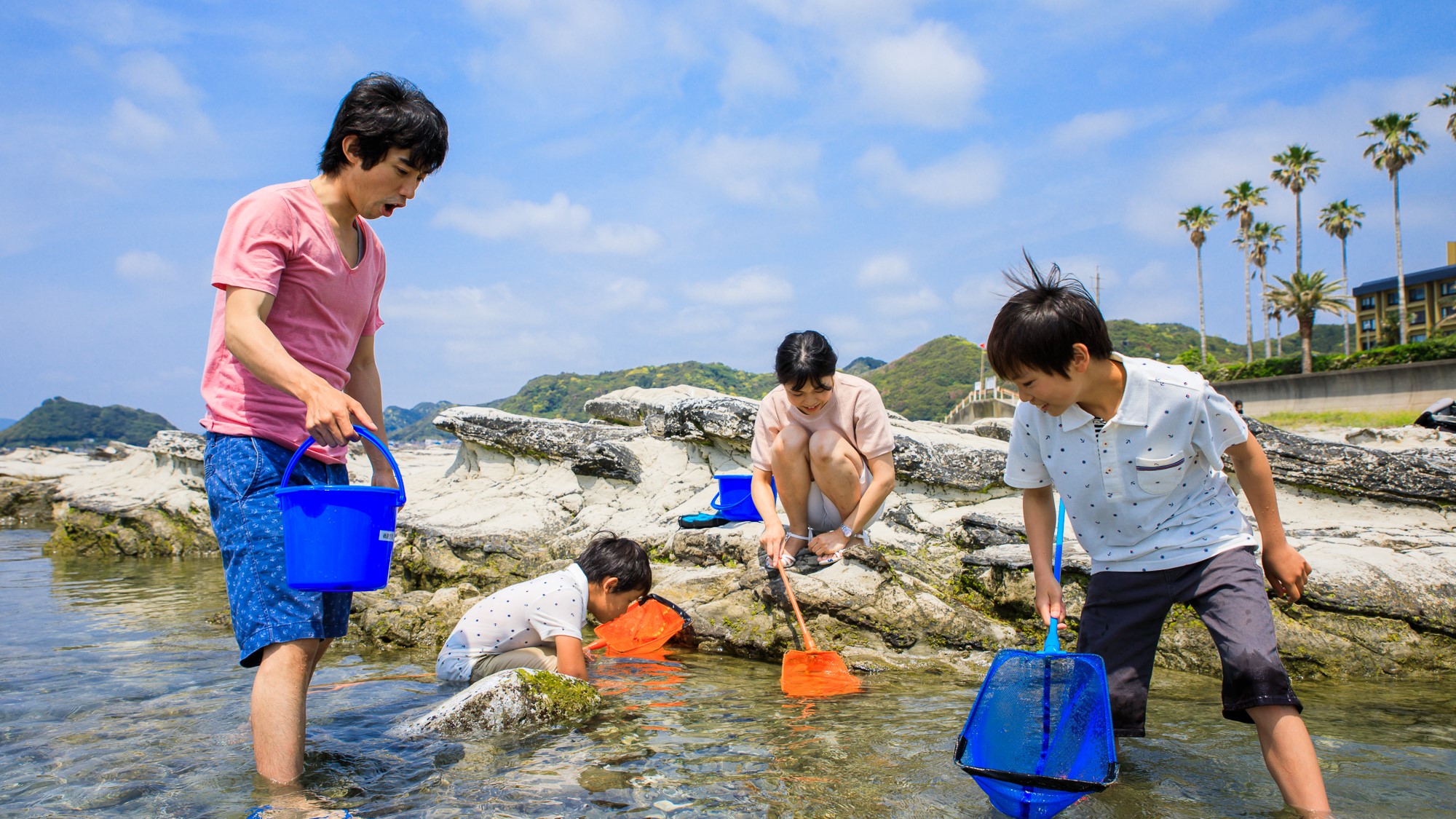 【海】磯遊び