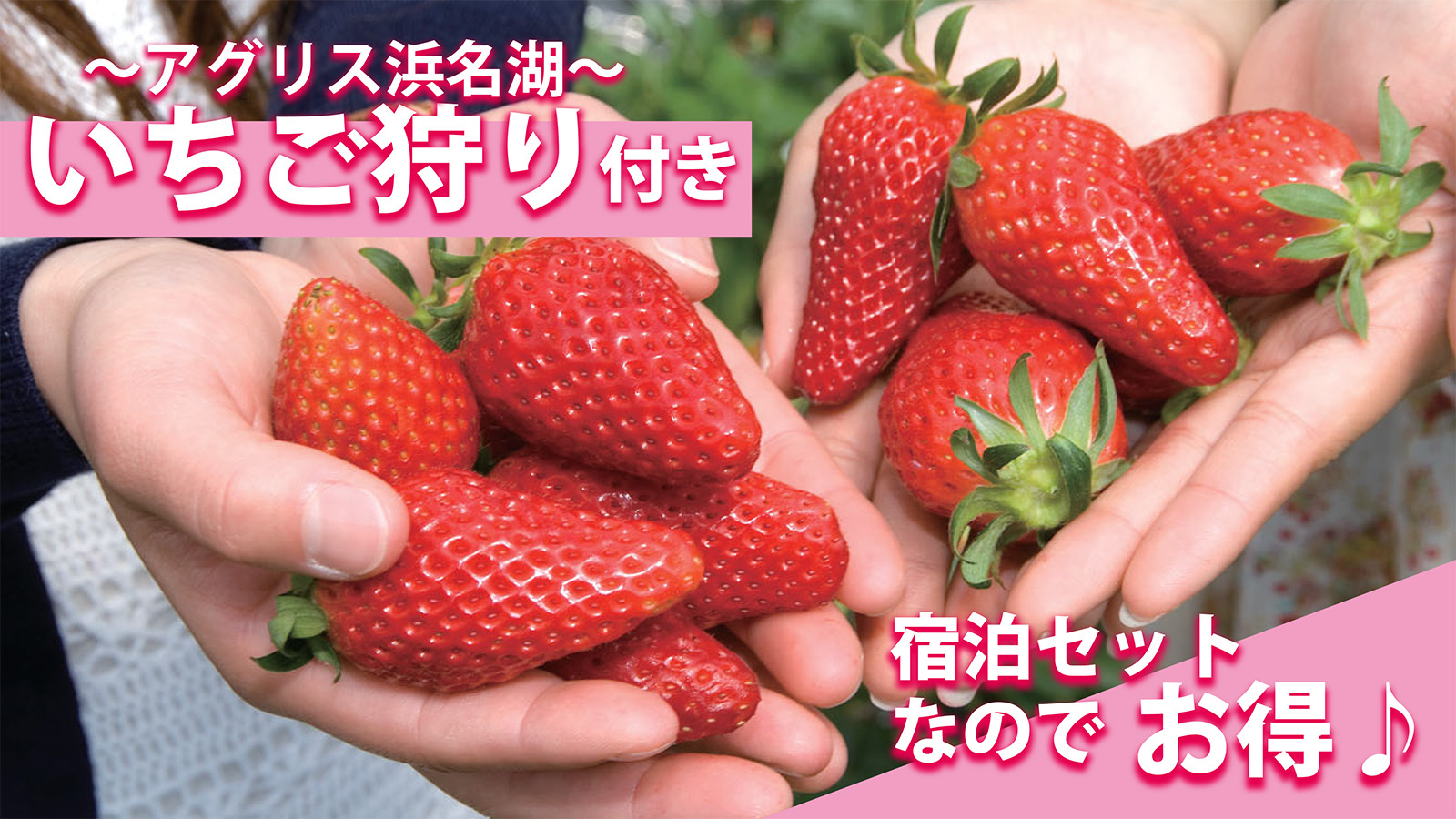 【4月】【いちご狩り体験付】食べ放題プラン　◆季節の完熟いちご30分食べ放題｜アグリス浜名湖