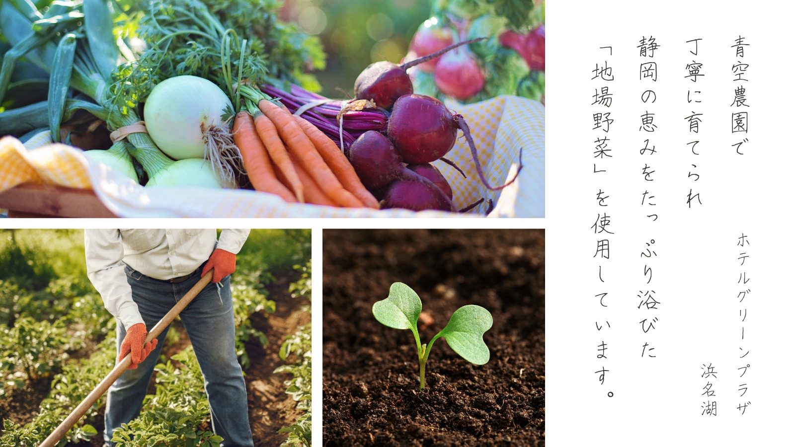 【1日5組限定】 青空農園提供！採れたて旬の地場野菜プラン