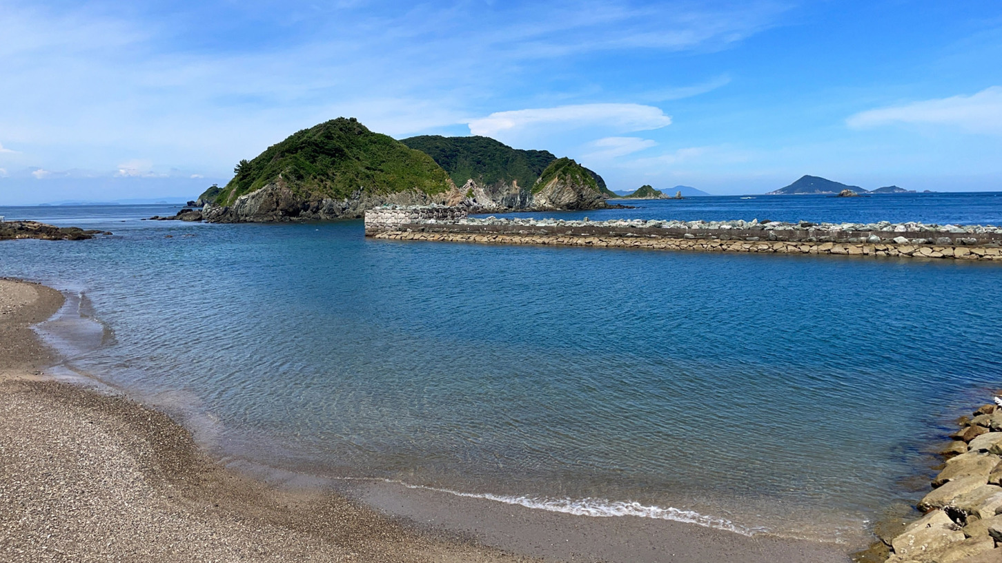【特典付　夏さきどり旅】島のビーチで海遊び　伊勢海老の姿造りと答志島大漁皿膳　海ほたるツアー付