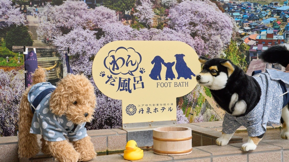 【2食付/ペットと泊まれる基本プラン】季節替わりの和会席♪丹泉ホテル満喫 基本プラン【会場食】