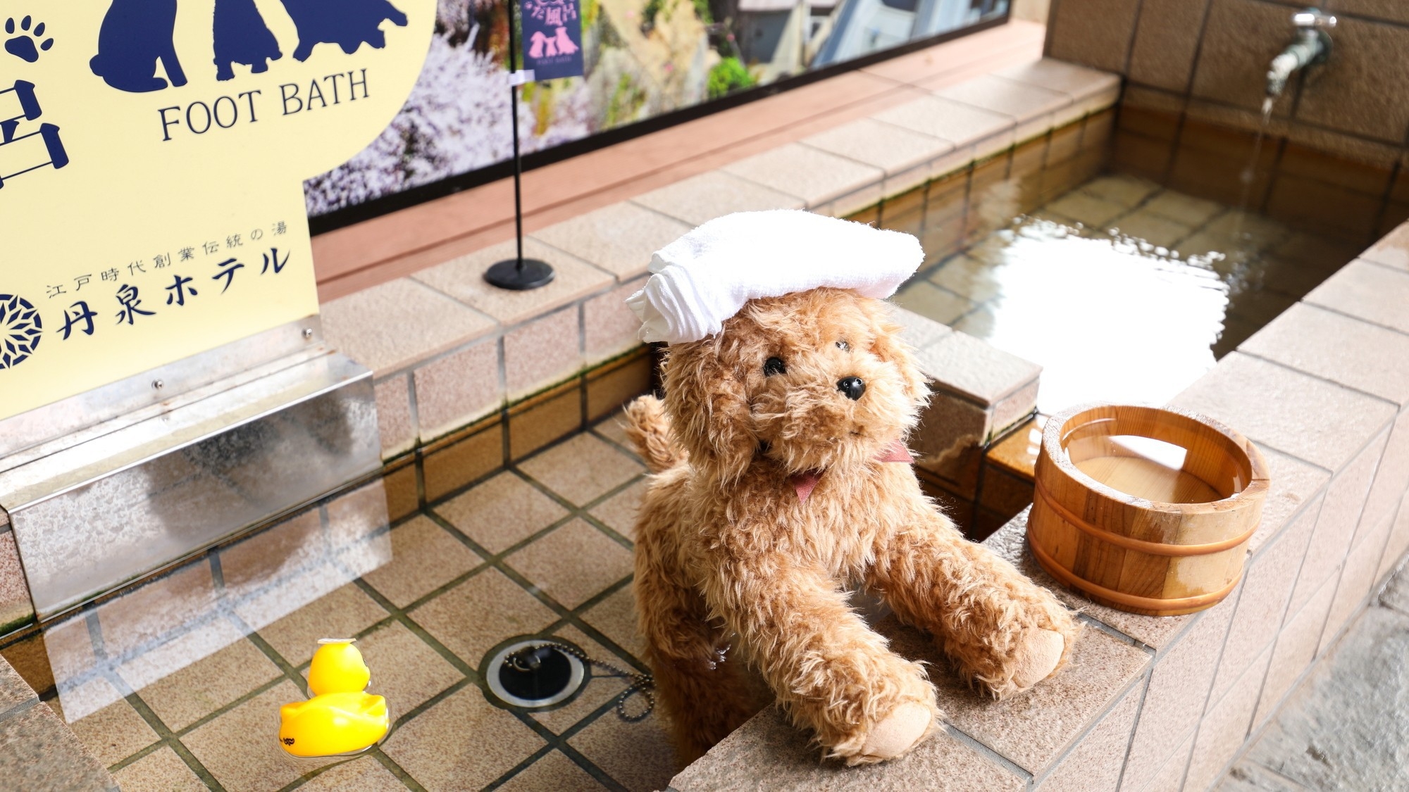 【2食付/ペットと泊まれる基本プラン】季節替わりの和会席♪丹泉ホテル満喫 基本プラン【会場食】