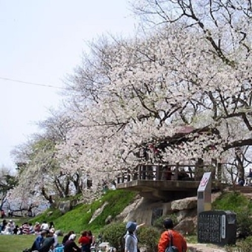 赤湯温泉桜まつり