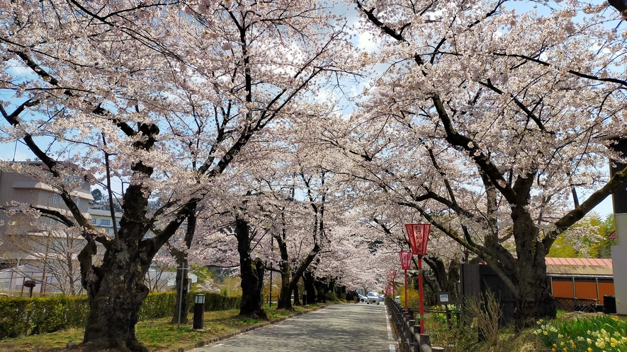 桜坂