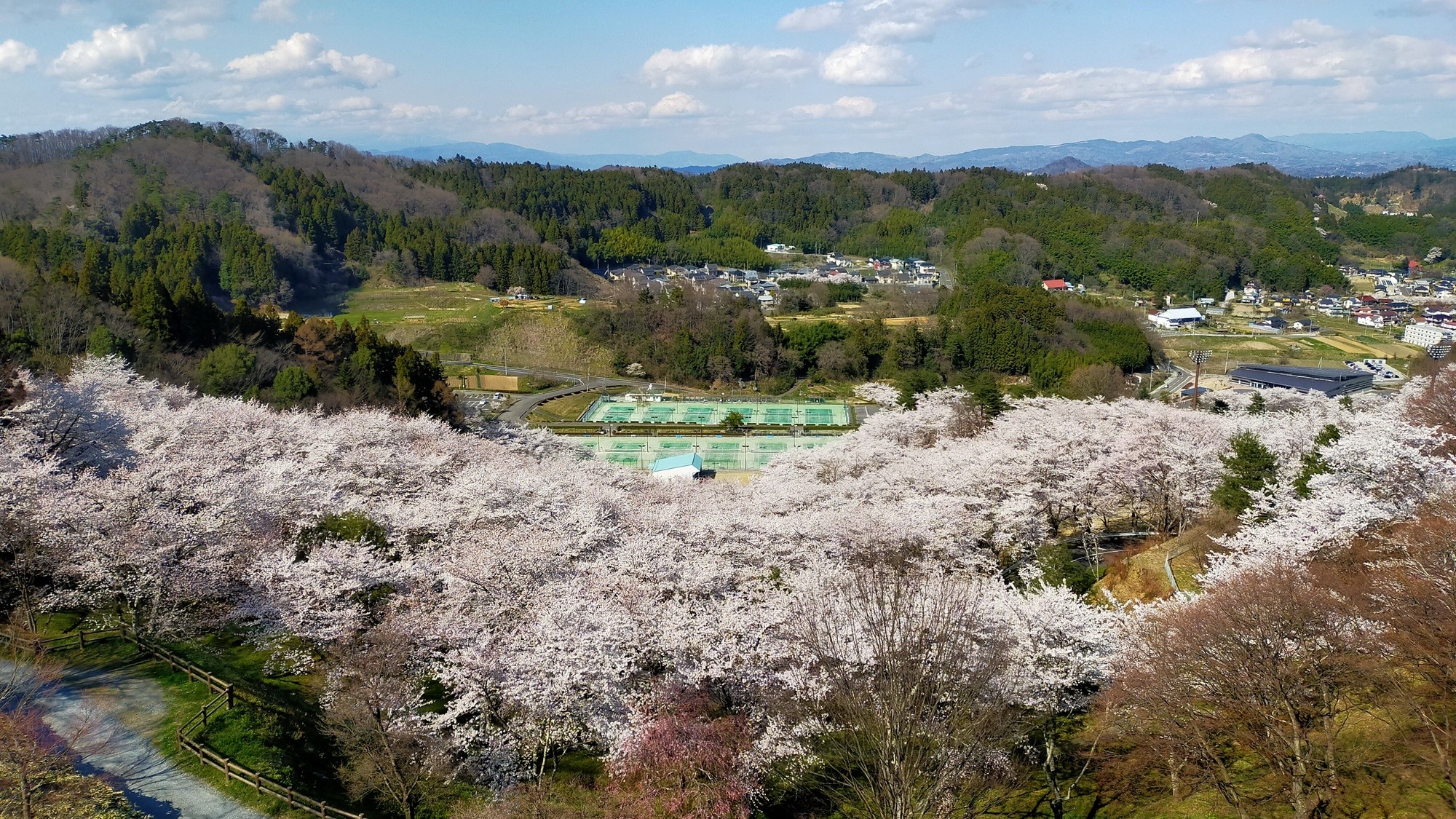 春の霞ヶ城公園