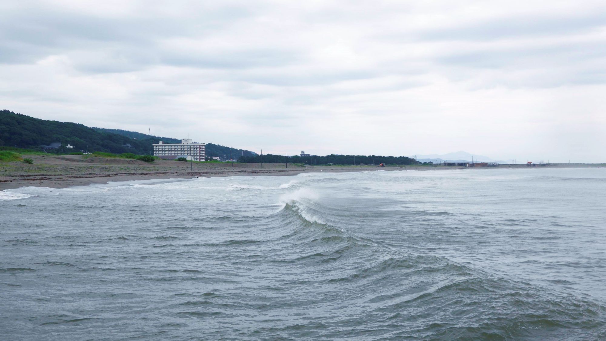 寺泊海岸つわぶき温泉 美味探究の宿 住吉屋 宿泊予約 楽天トラベル 寺泊海岸つわぶき温泉 美味探究の宿 住吉屋 宿泊予約 楽天トラベル