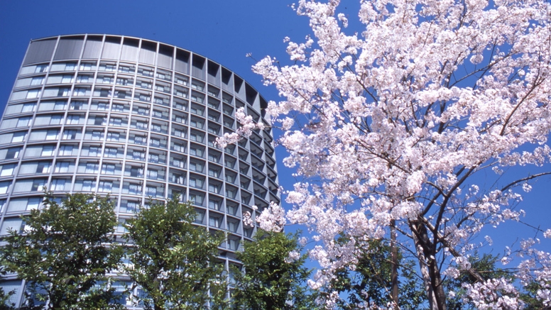 【春SALE】スタンダードプラン【素泊まり】