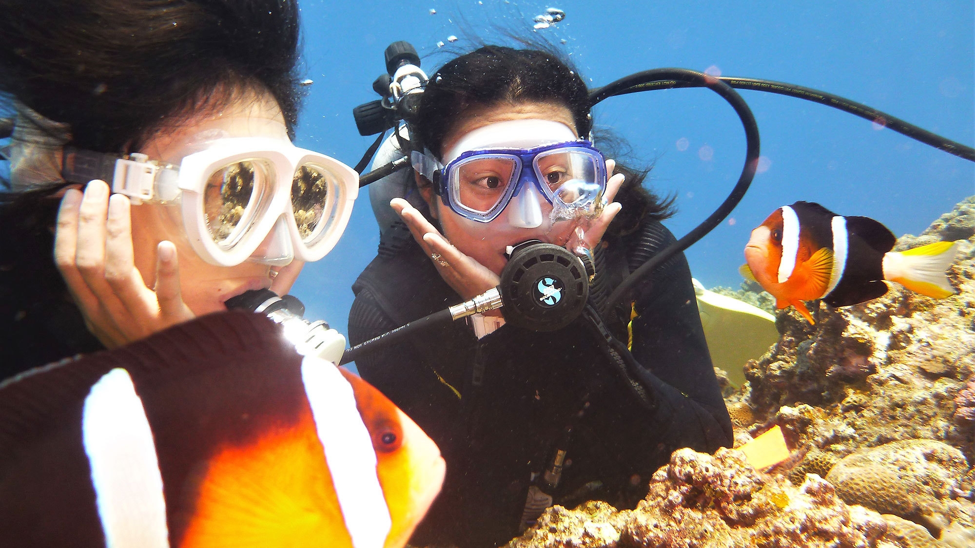 【体験ダイビング付・2連泊以上】珊瑚礁の碧い海と遊ぼう！泳げなくても楽しめるマリンスポーツ体験