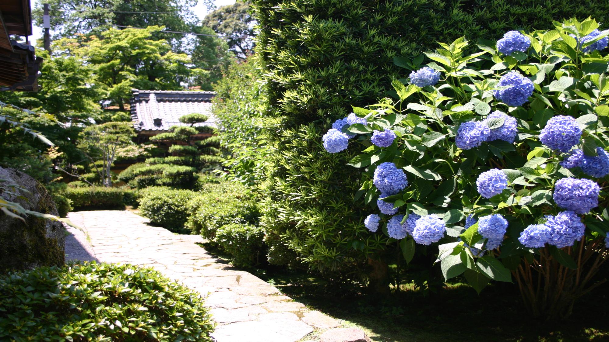 湖東三山　龍應山　西明寺