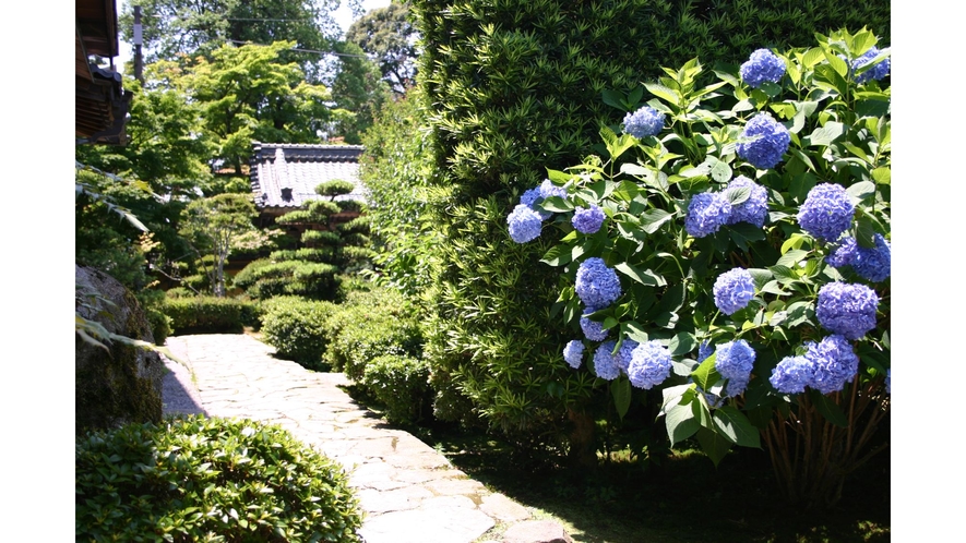 湖東三山　龍應山　西明寺