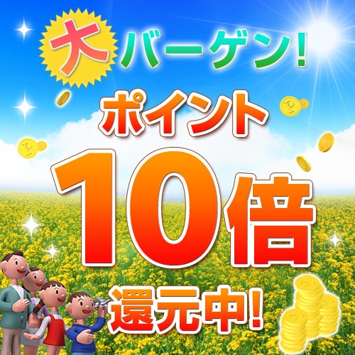 【楽天限定】【素泊り】【ポイント１０％】シングルルーム（喫煙）ポイント分を朝食費として会社の出張に！