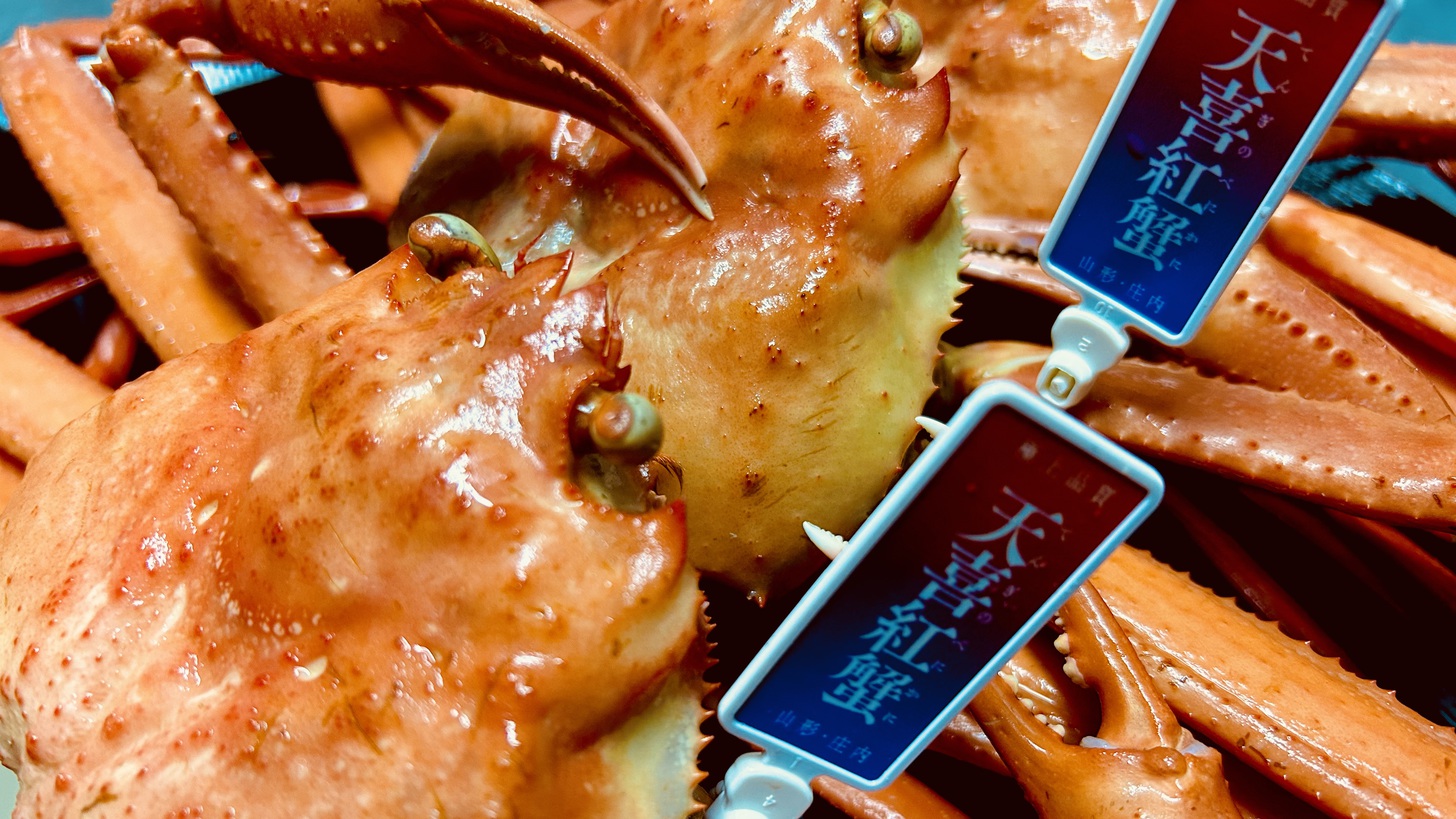 写真2