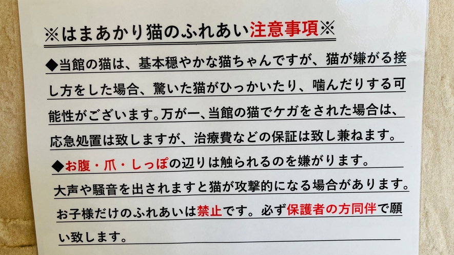 猫ちゃん注意事項です