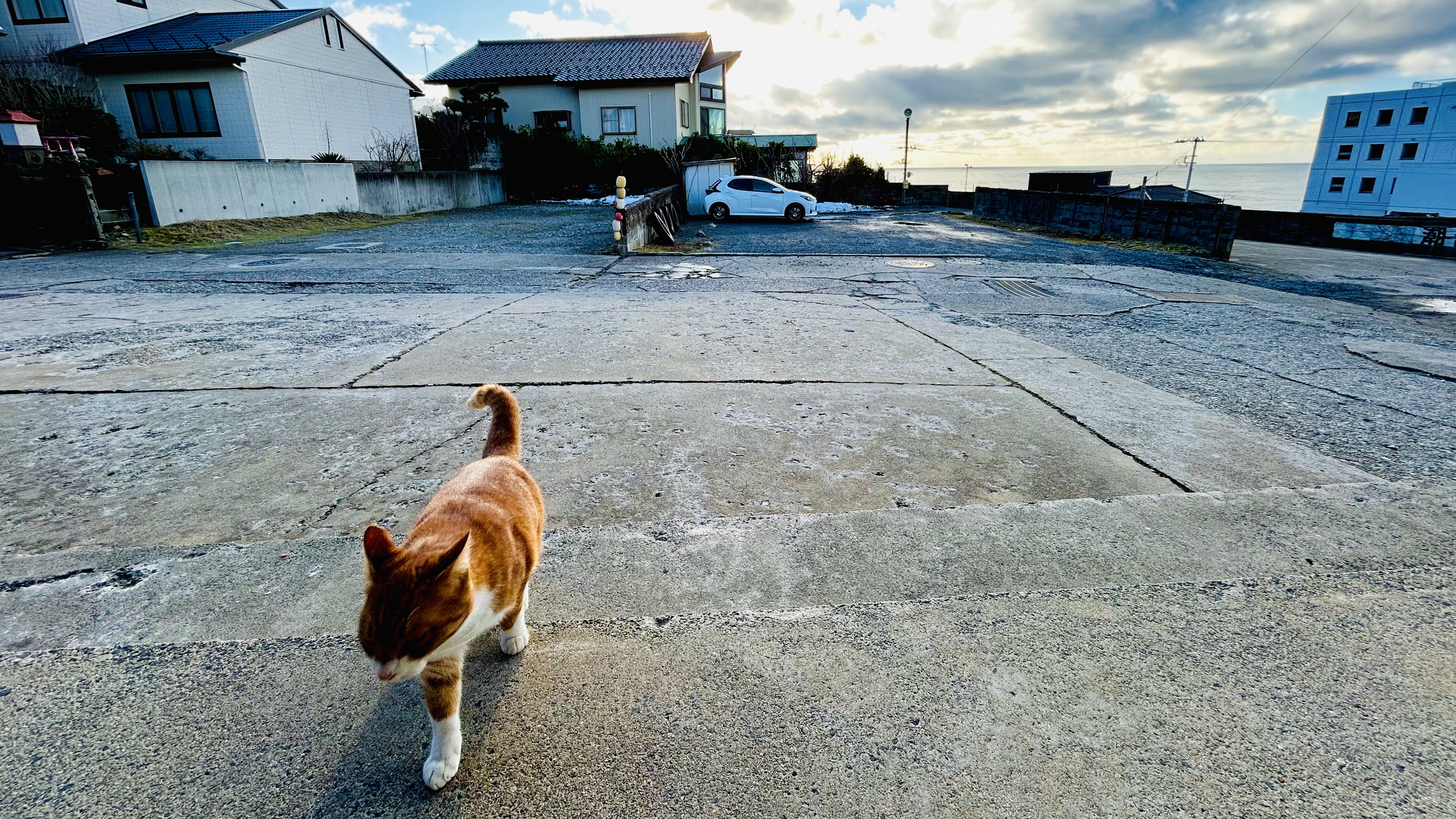 駐車場は無料です